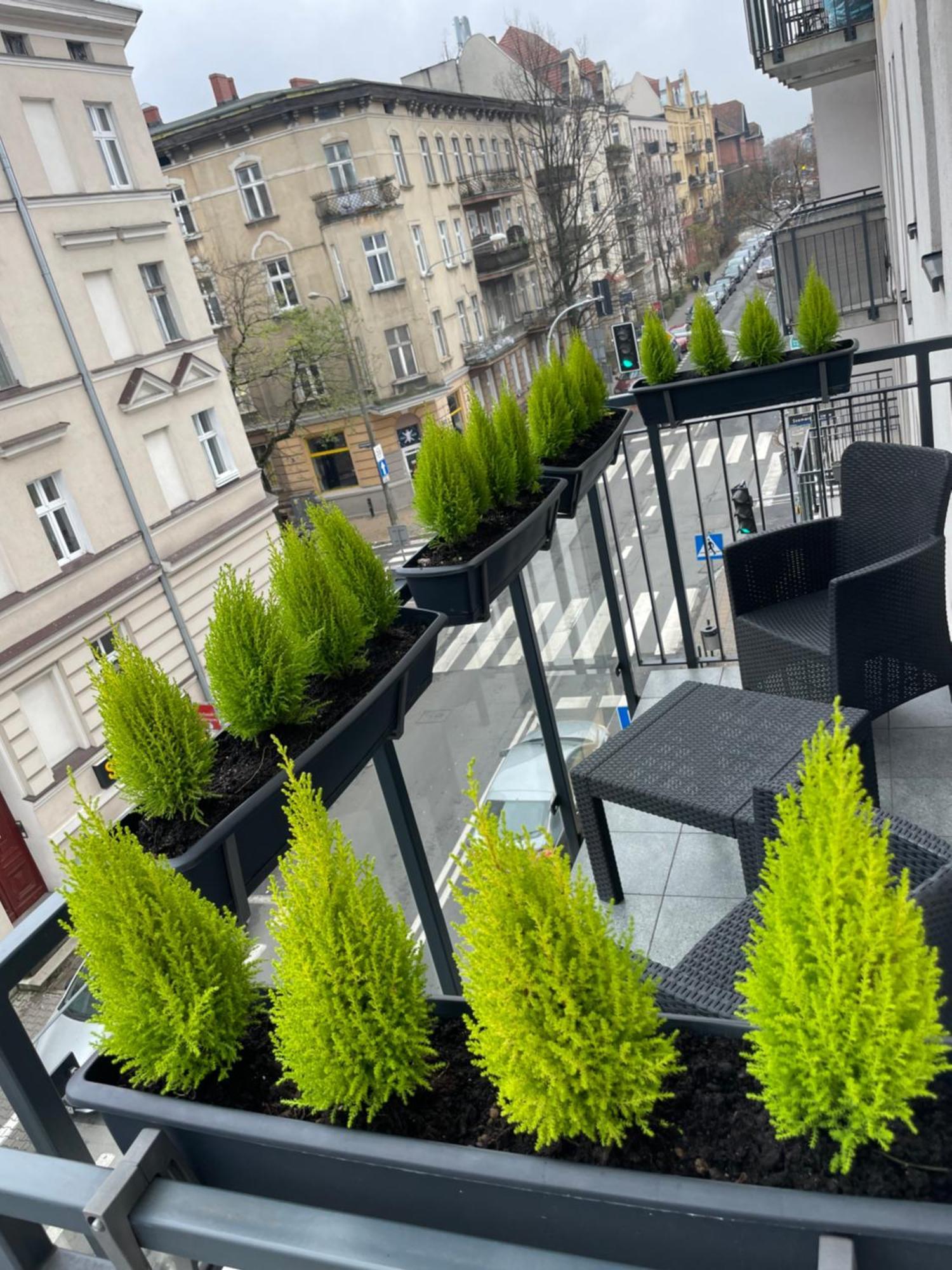 Chillout Polna - Parking Apartment พอซนาน ภายนอก รูปภาพ